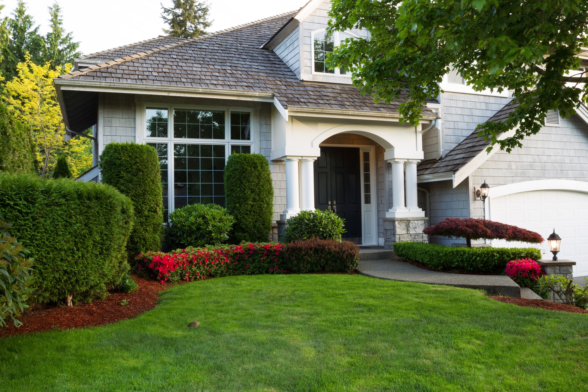 house with beautiful landscape