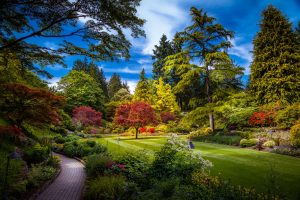 A well manicured lawn will add curb appeal and make a great first impression!